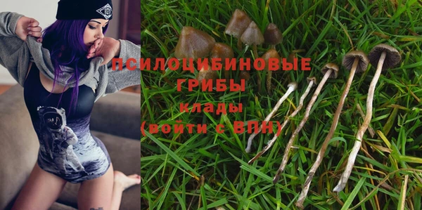 индика Алексеевка