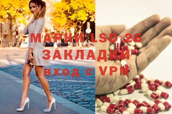 индика Алексеевка