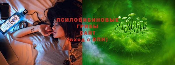 дживик Алзамай
