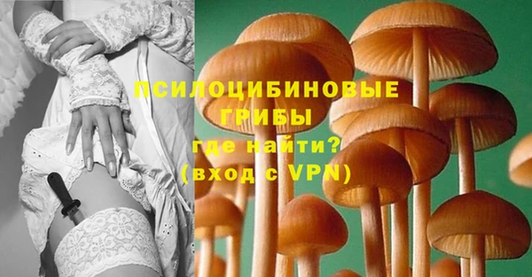дживик Алзамай
