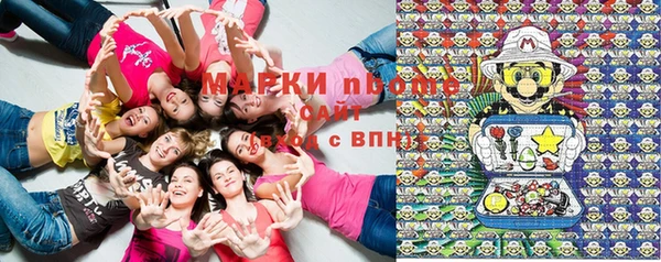 индика Алексеевка