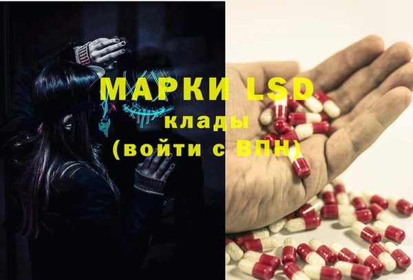 индика Алексеевка