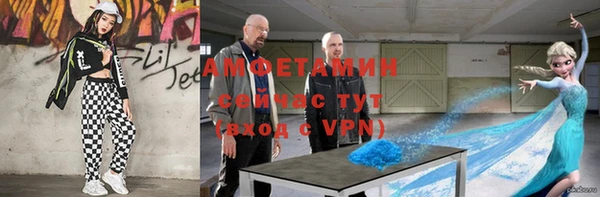 ГАЛЛЮЦИНОГЕННЫЕ ГРИБЫ Алексин